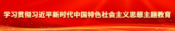 一级日逼的视频学习贯彻习近平新时代中国特色社会主义思想主题教育