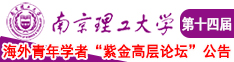 操日本女人逼逼南京理工大学第十四届海外青年学者紫金论坛诚邀海内外英才！